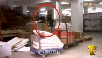 杭州广琪公司5名负责人销售过期食品获刑 曾被央视曝光